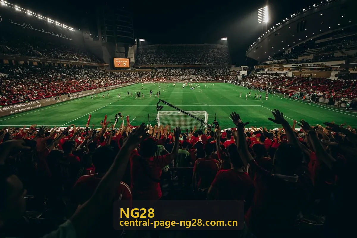 NG28 月度精选内容大图